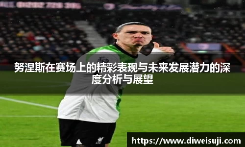 努涅斯在赛场上的精彩表现与未来发展潜力的深度分析与展望