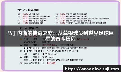 星空·综合体育官网